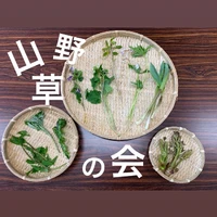 画像266
