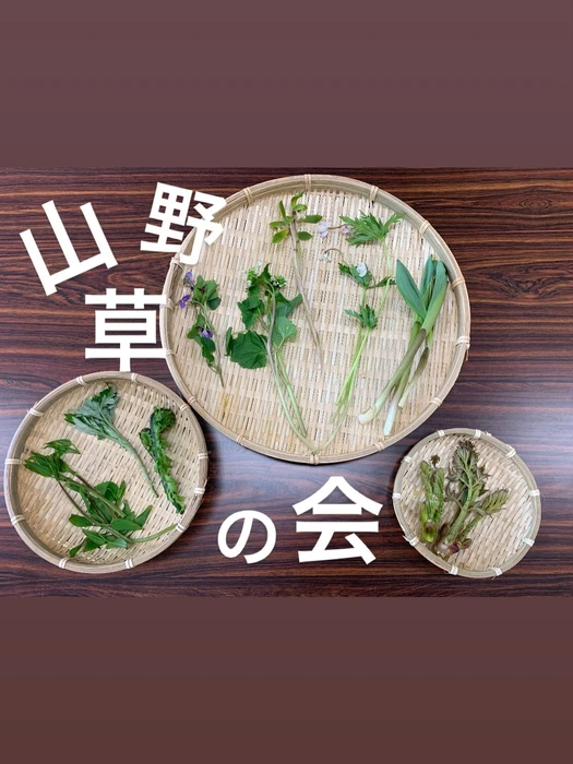 画像266