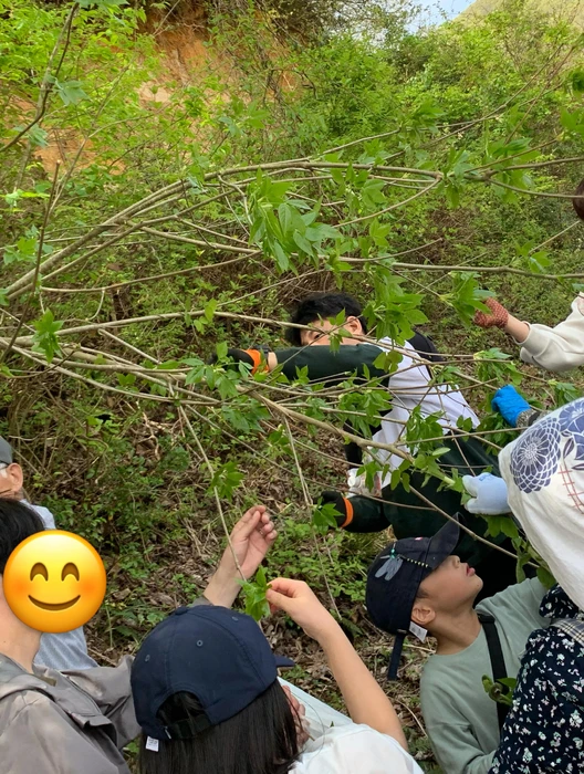 画像270