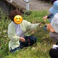 画像271