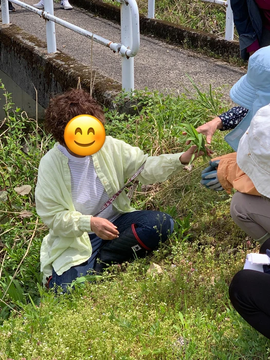 画像271