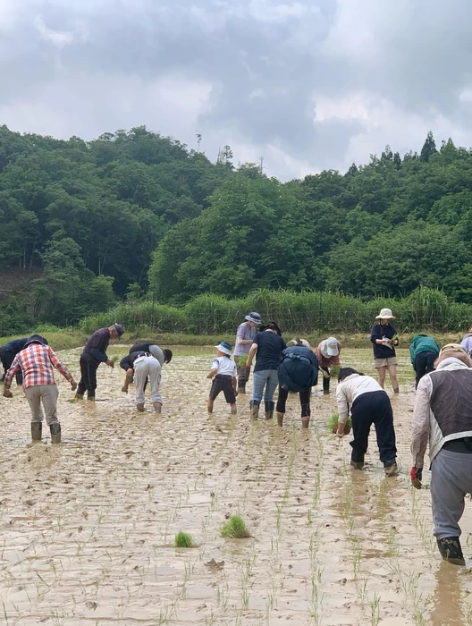 画像275