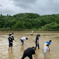 画像276