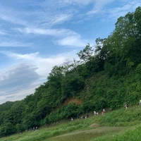 画像284