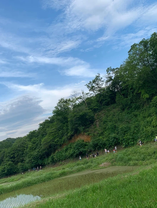画像284