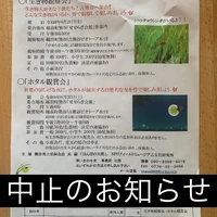 画像286