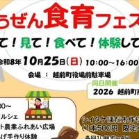 画像293