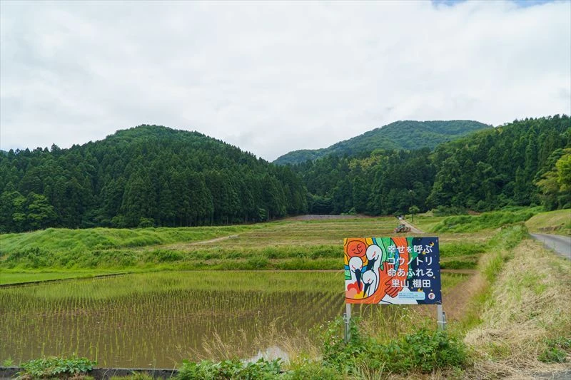 DSC02463_R