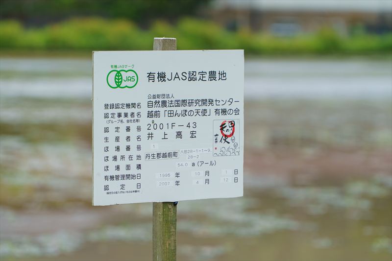 米
