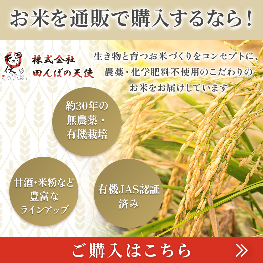 popup_banner